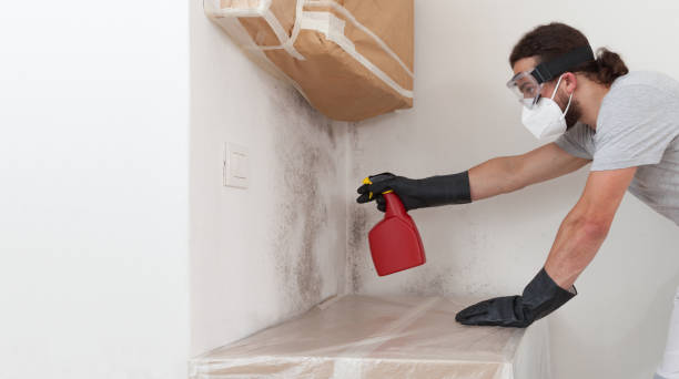 Professional Attic Mold Removal technician working in Central Lake, MI