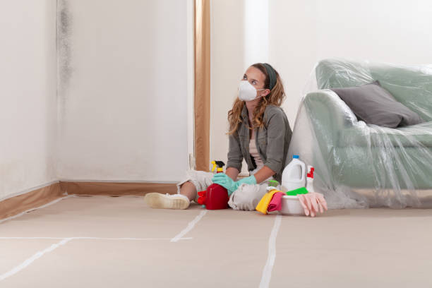 Reliable Attic Mold Removal contractor in Central Lake, MI by WQB Mold Removal